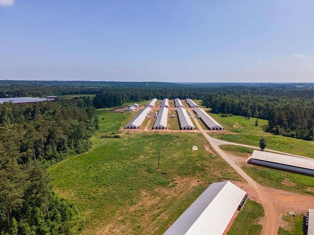 40 Acres of Agricultural Land for Sale in Douglass, Texas