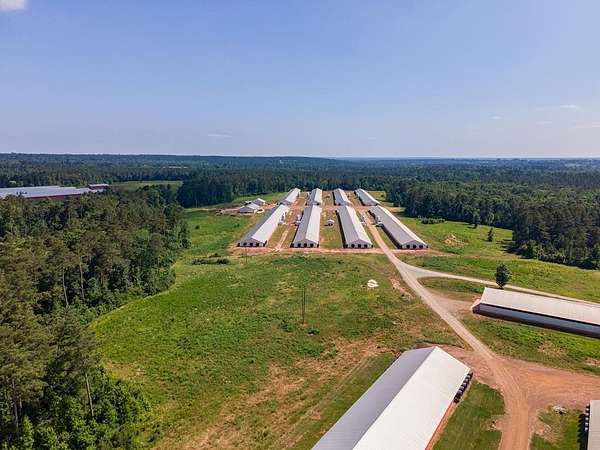 40 Acres of Agricultural Land for Sale in Douglass, Texas
