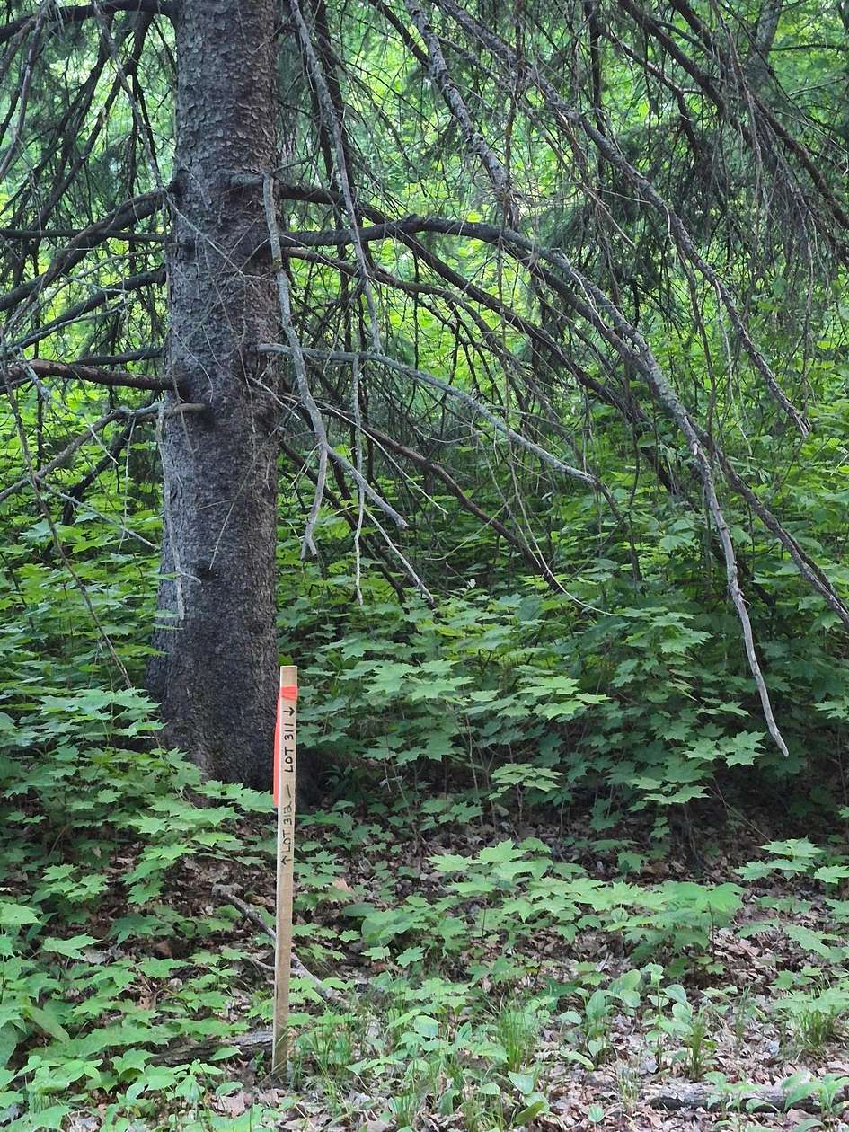 0.69 Acres of Land for Sale in McGregor, Minnesota