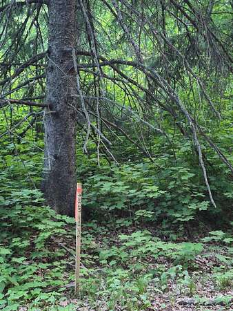 0.69 Acres of Land for Sale in McGregor, Minnesota