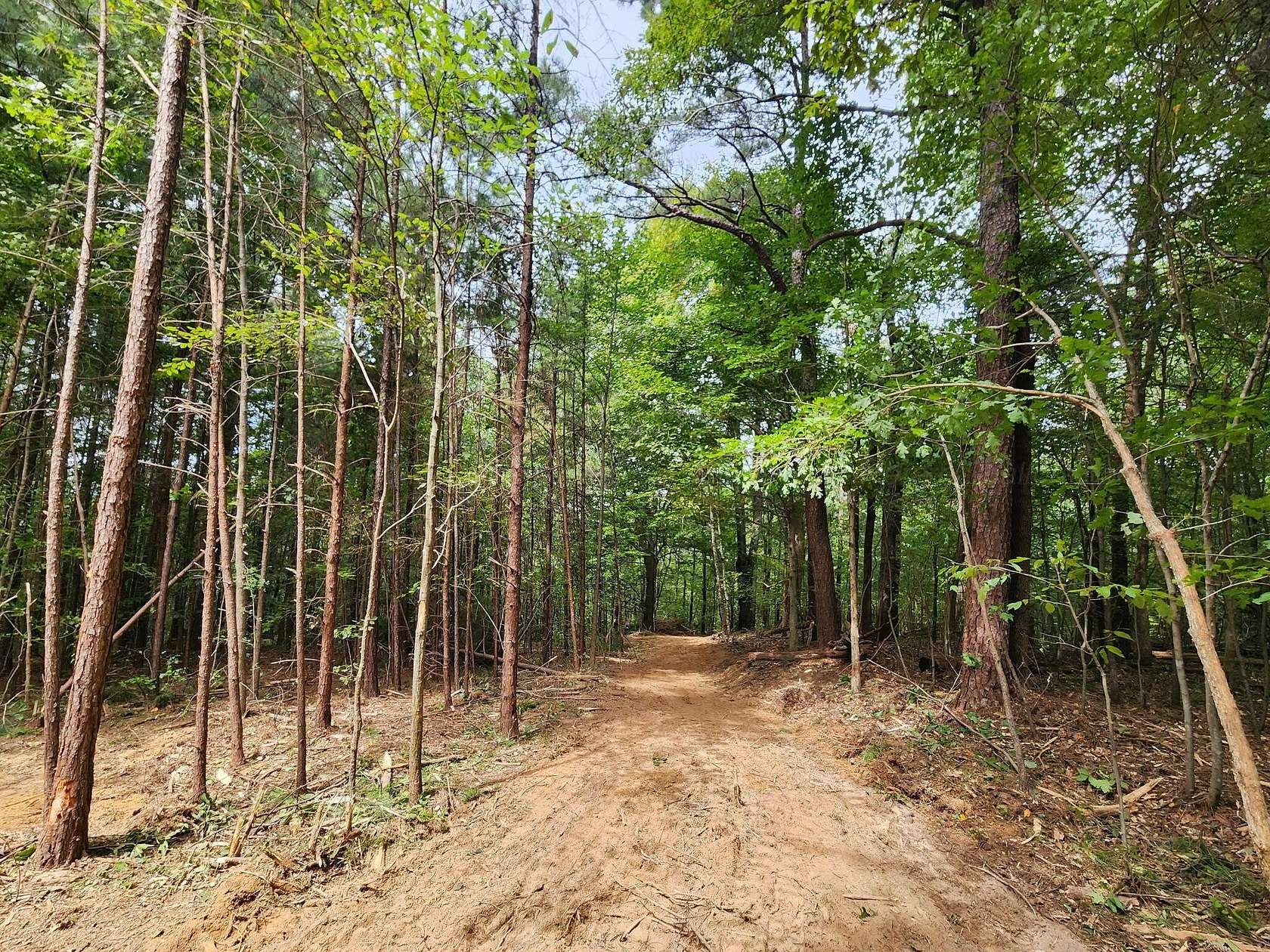 18 Acres of Recreational & Residential Land for Sale in Cordova, Alabama