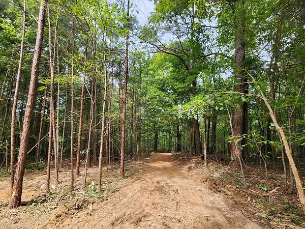 18 Acres of Recreational & Residential Land for Sale in Cordova, Alabama