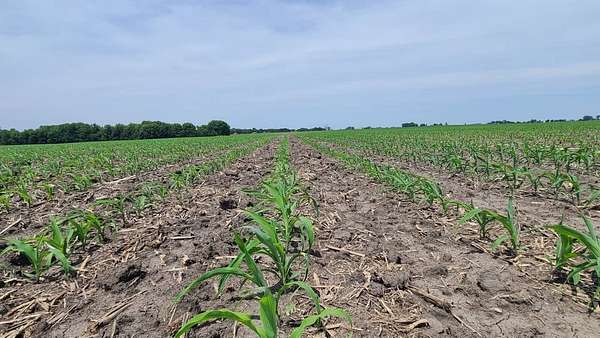 32.7 Acres of Agricultural Land for Sale in Danville, Iowa