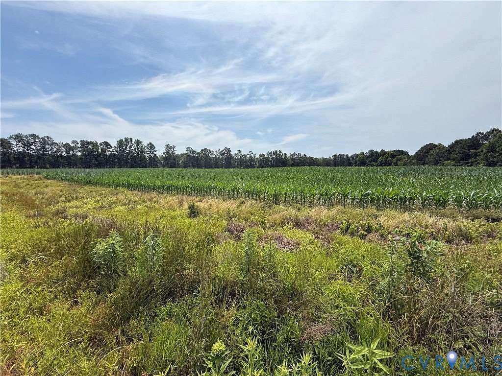 70.3 Acres of Land for Sale in Stony Creek, Virginia