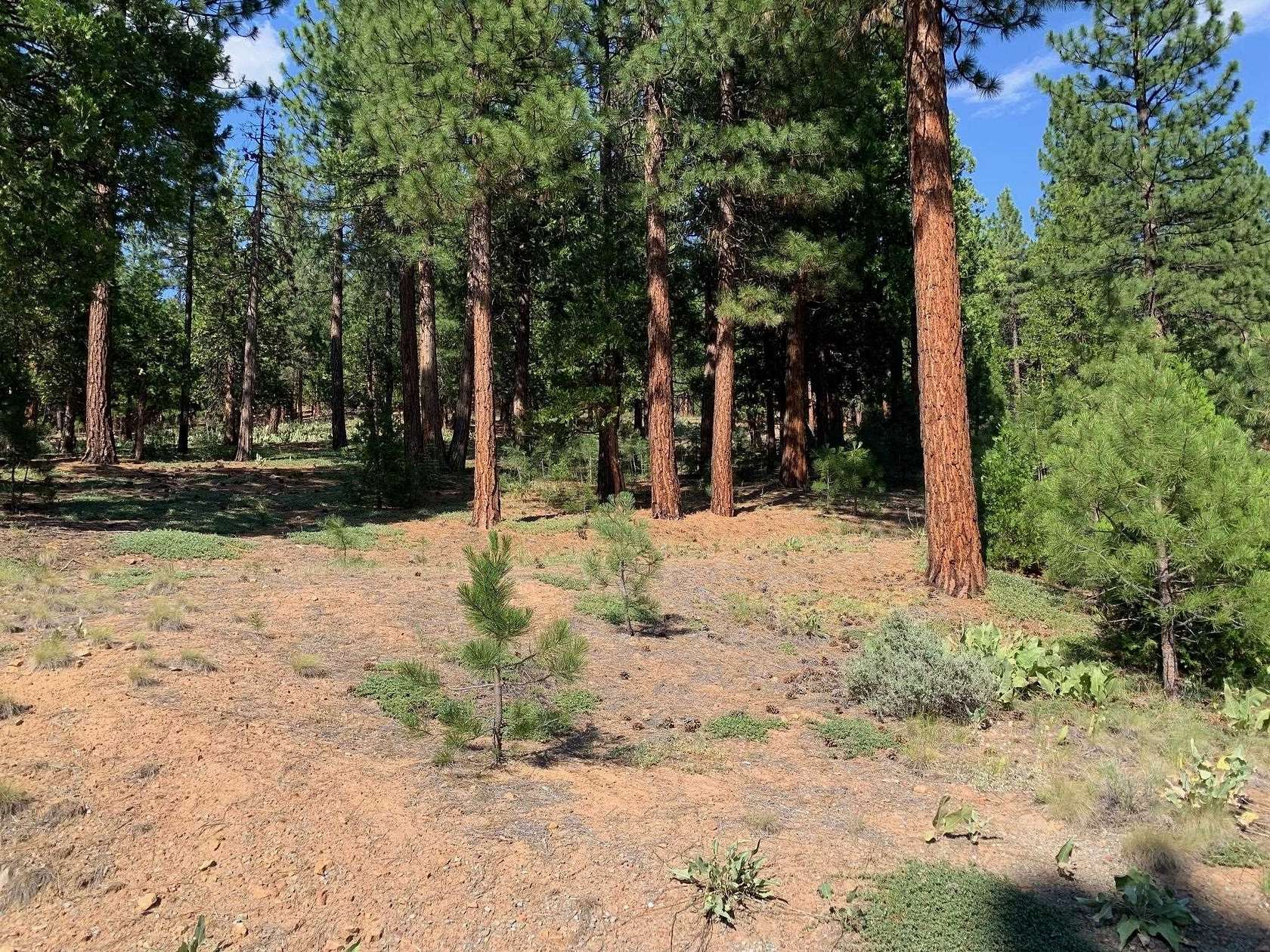 1.69 Acres of Residential Land for Sale in Portola, California