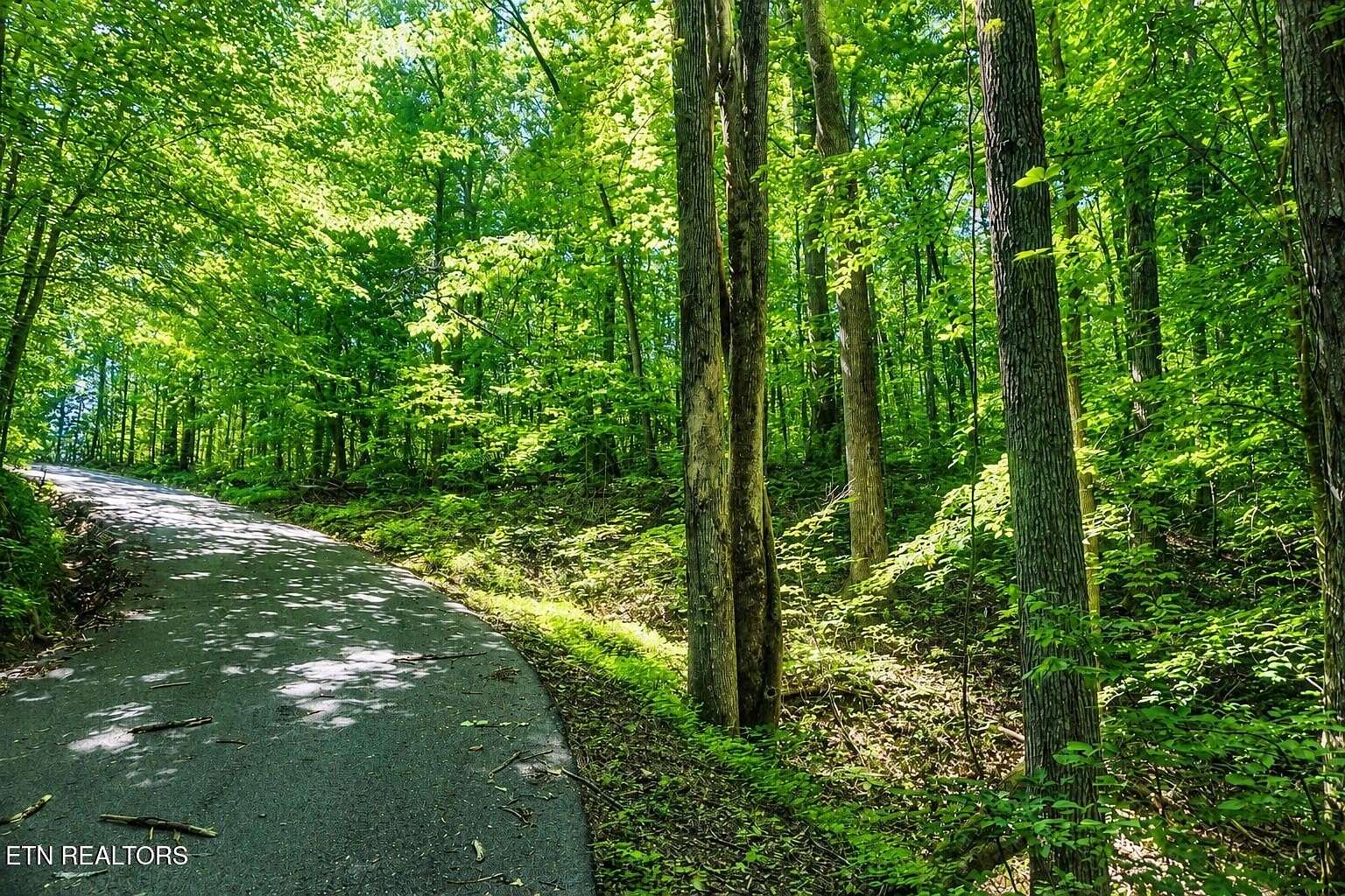 3.8 Acres of Residential Land for Sale in Sevierville, Tennessee