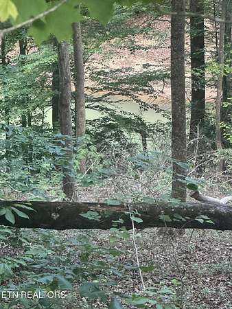 0.57 Acres of Residential Land for Sale in Jacksboro, Tennessee
