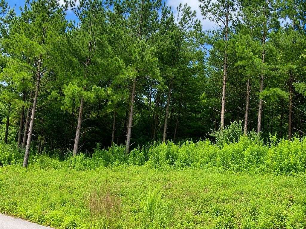 0.8 Acres of Residential Land for Sale in Pikeville, Kentucky