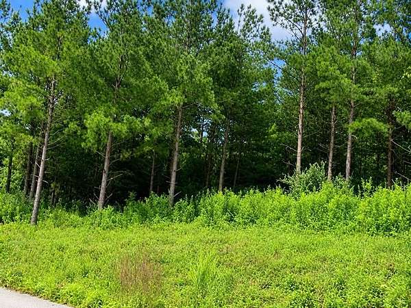 0.8 Acres of Residential Land for Sale in Pikeville, Kentucky