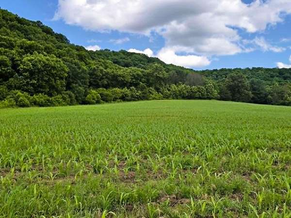 40.2 Acres of Land for Sale in Soldiers Grove, Wisconsin