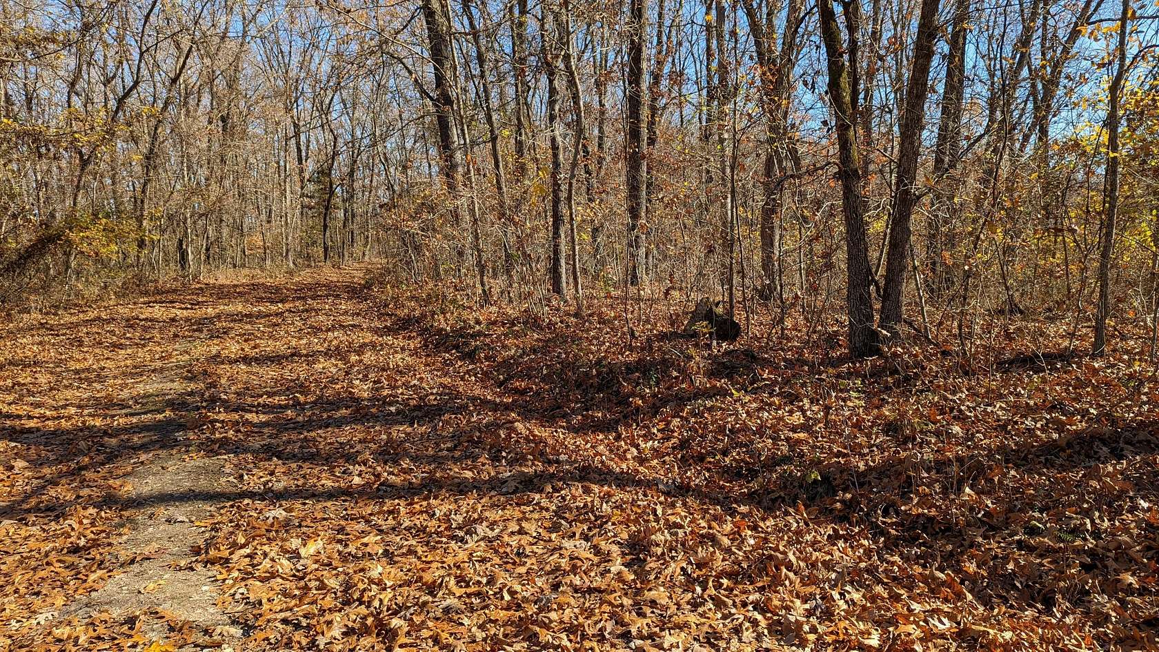 14 Acres of Land for Sale in Cape Fair, Missouri