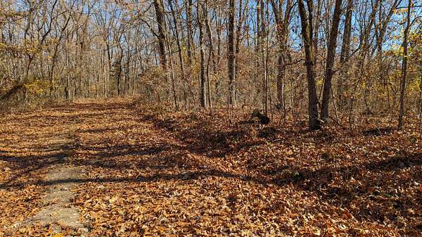 14 Acres of Land for Sale in Cape Fair, Missouri