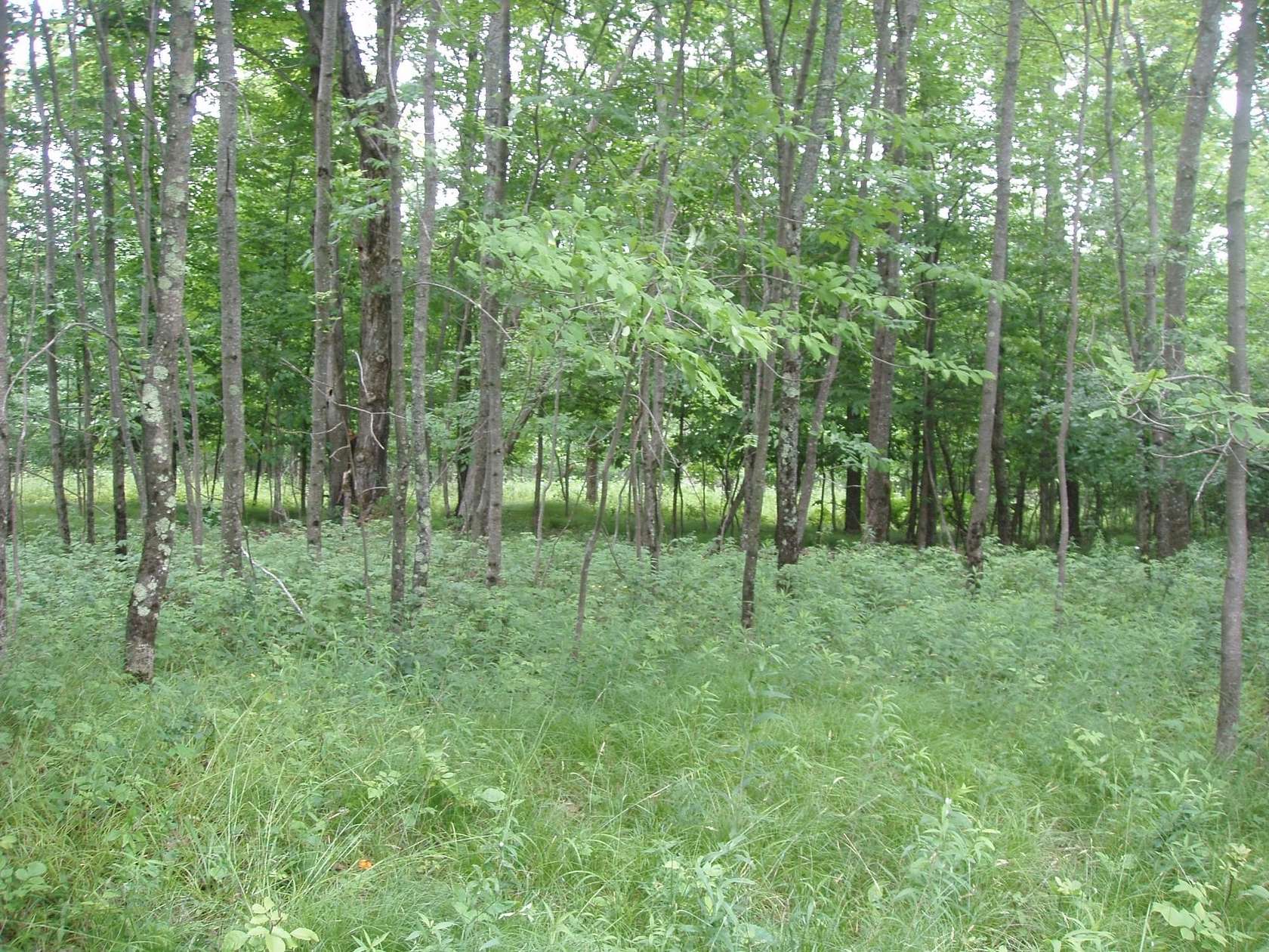 1.4 Acres of Residential Land for Sale in Park Falls, Wisconsin