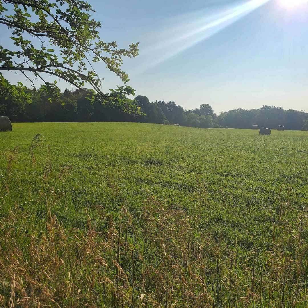 10 Acres of Residential Land for Sale in Harvard, Illinois