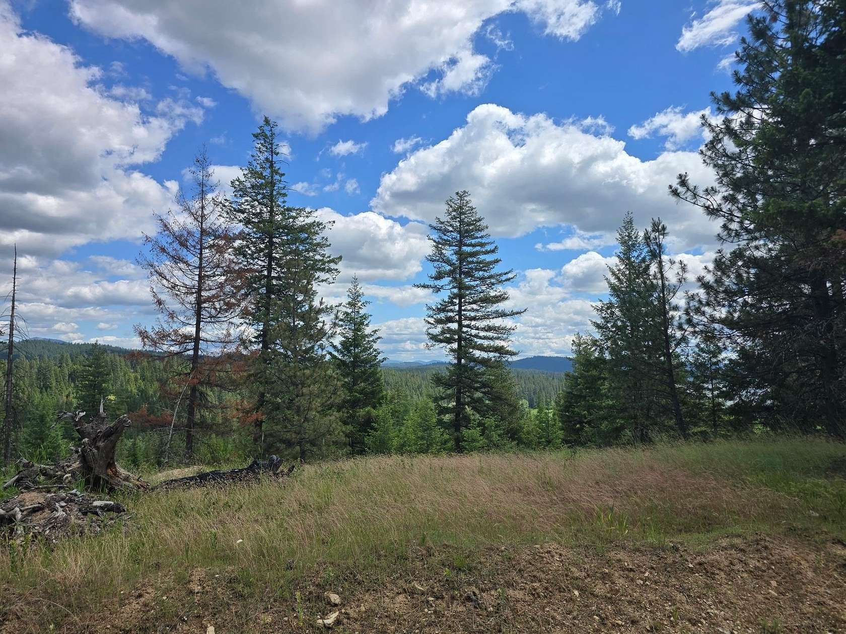 18.7 Acres of Land for Sale in Newman Lake, Washington