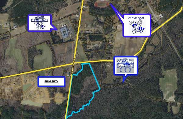 41.1 Acres of Mixed-Use Land for Sale in Aynor, South Carolina