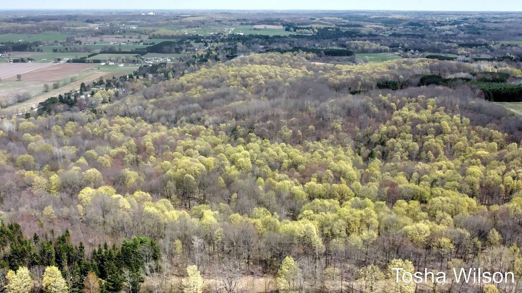 20 Acres of Recreational Land for Sale in Hersey, Michigan