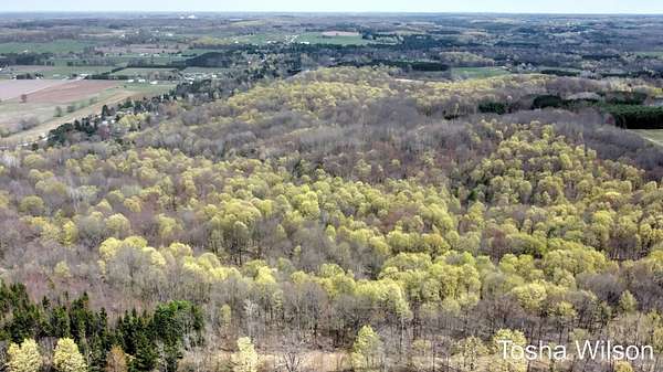 20 Acres of Recreational Land for Sale in Hersey, Michigan