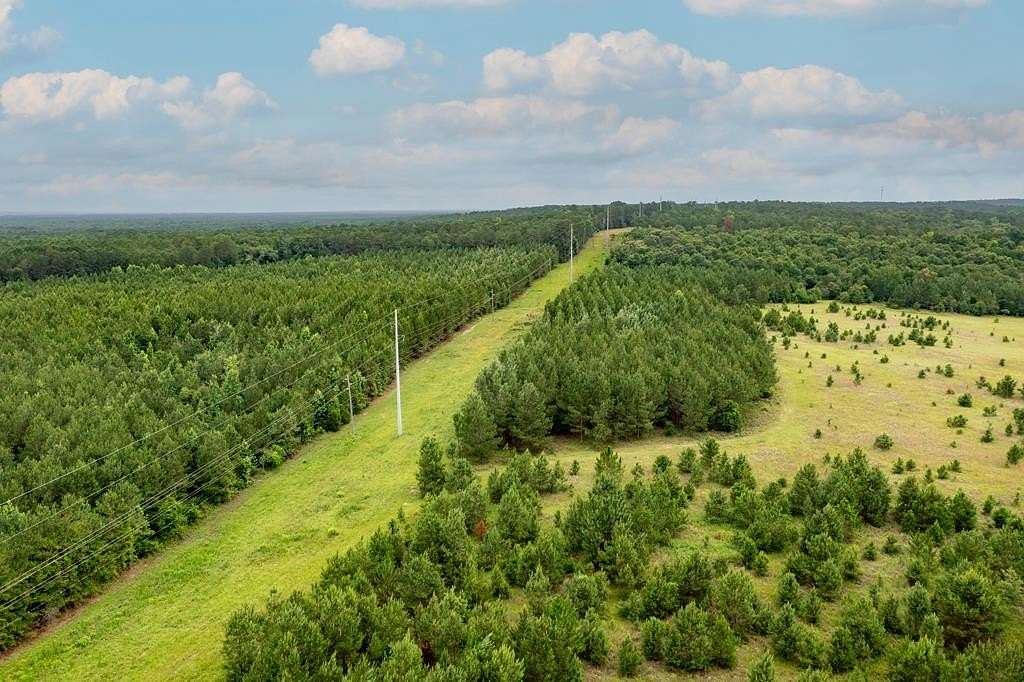 174 Acres of Land for Sale in Fort Gaines, Georgia