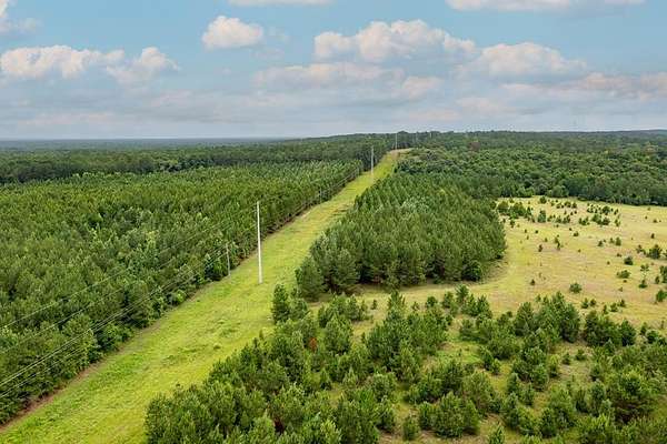 174 Acres of Land for Sale in Fort Gaines, Georgia
