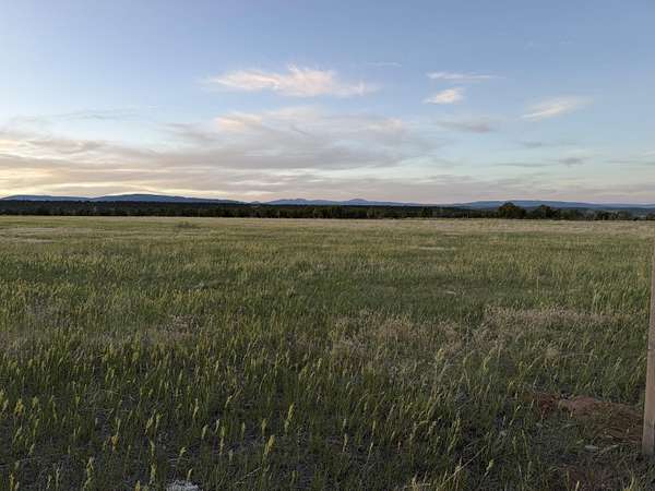 76.9 Acres of Land for Sale in Duchesne, Utah