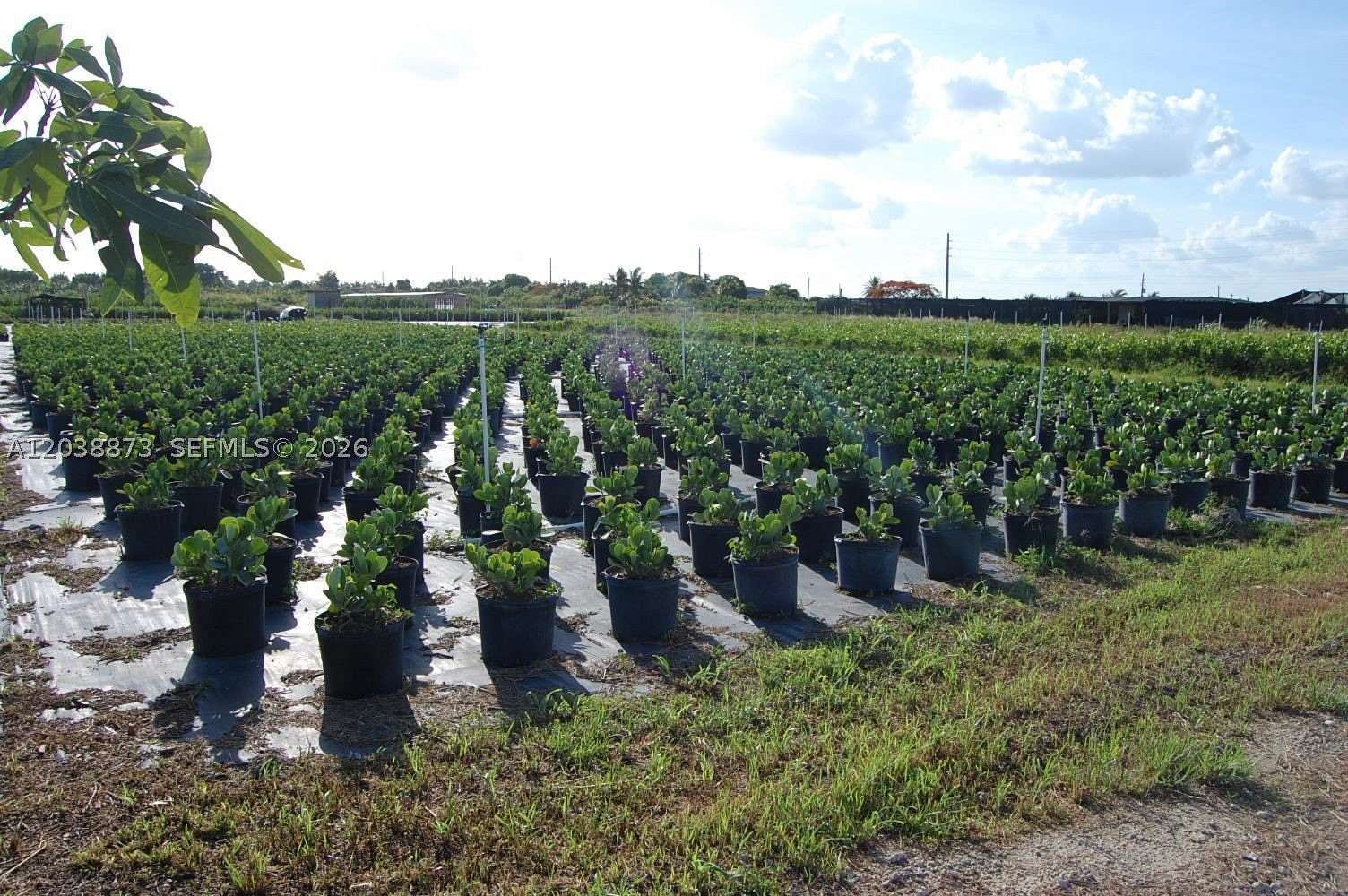 5 Acres of Residential Land for Sale in Miami, Florida
