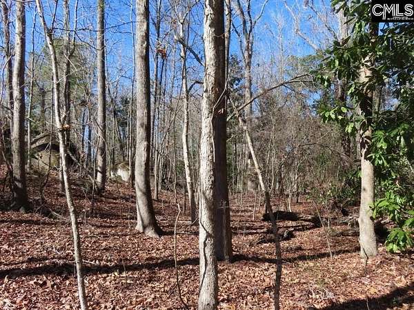 5.27 Acres of Residential Land for Sale in Winnsboro, South Carolina