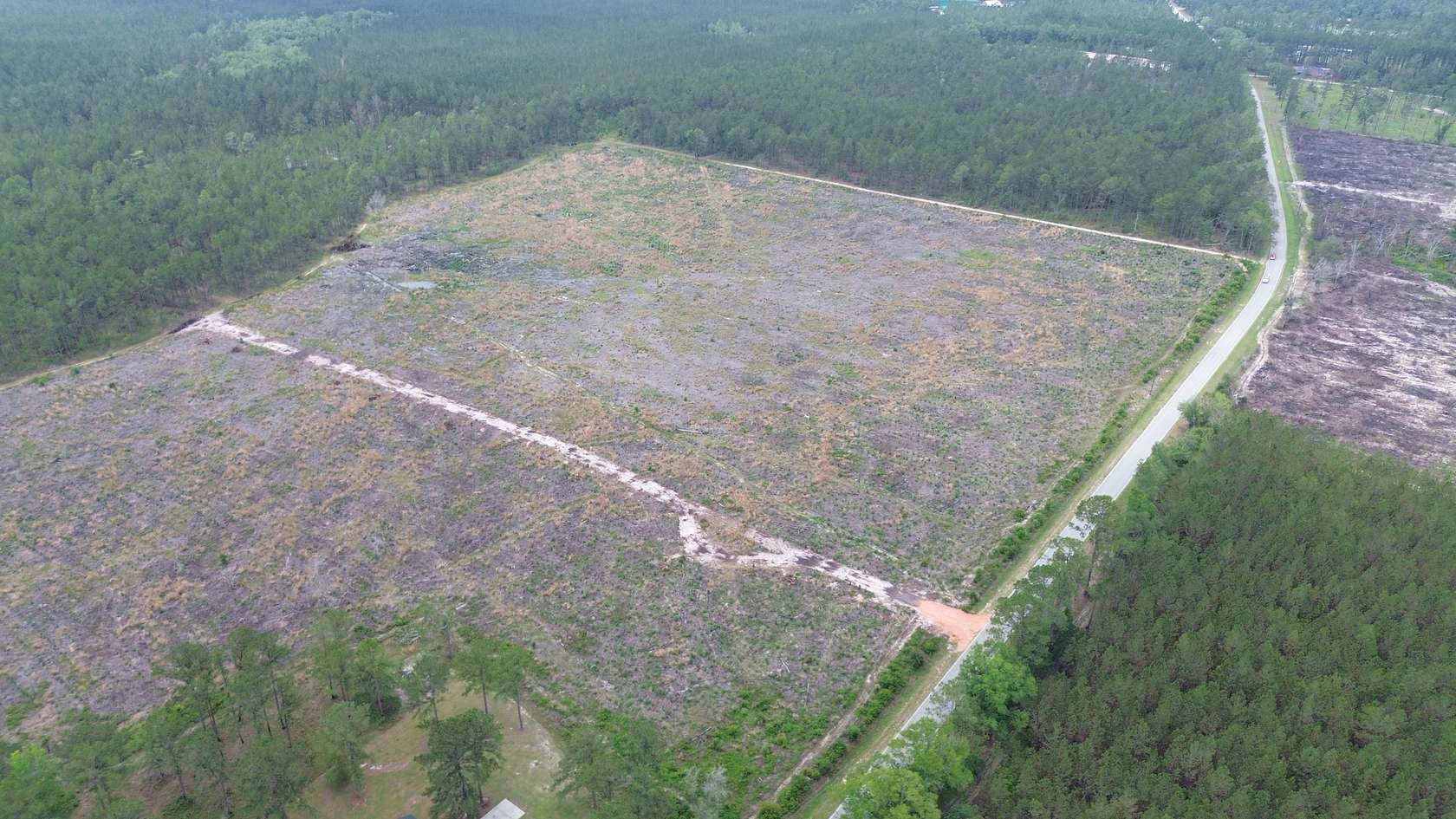 20 Acres of Recreational Land for Sale in Claxton, Georgia