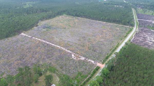 20 Acres of Recreational Land for Sale in Claxton, Georgia