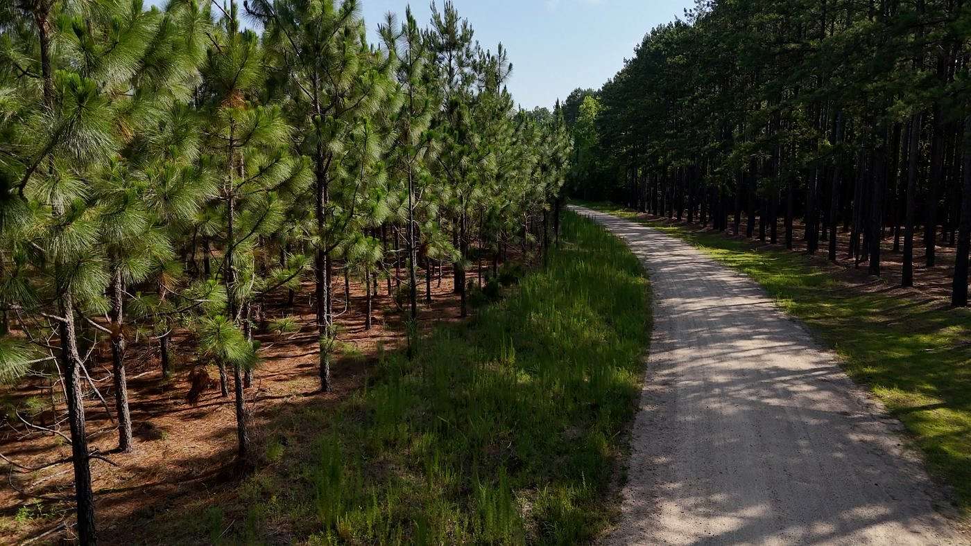 93.4 Acres of Land for Sale in Chesterfield, South Carolina