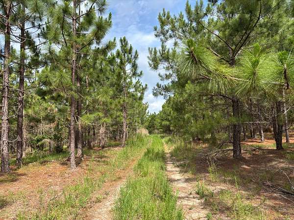 93.4 Acres of Land for Sale in Chesterfield, South Carolina