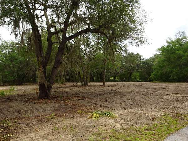 0.67 Acres of Residential Land for Sale in Dunnellon, Florida