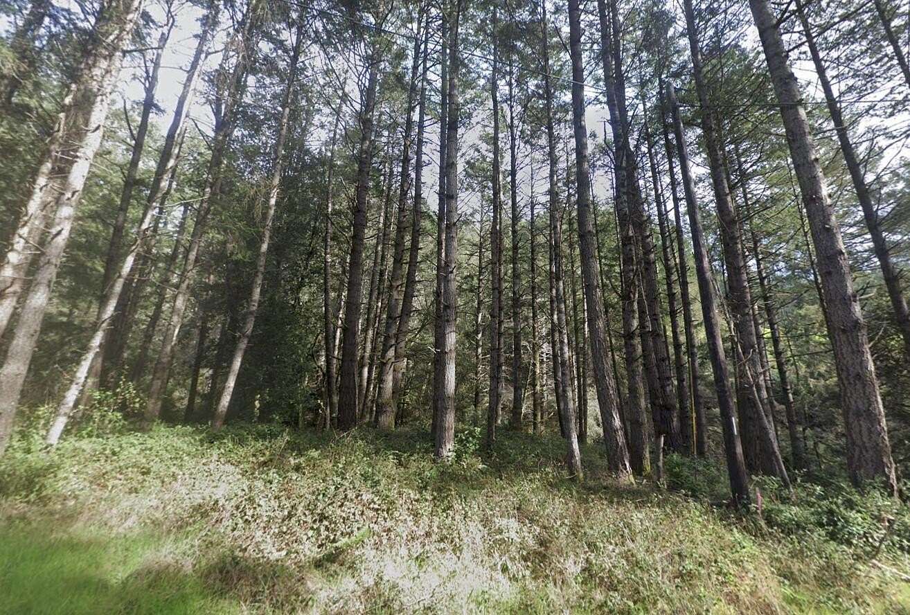 0.15 Acres of Residential Land for Sale in Shelter Cove, California