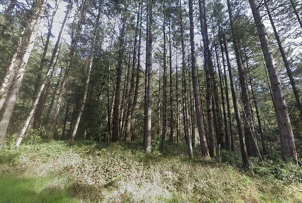0.15 Acres of Residential Land for Sale in Shelter Cove, California
