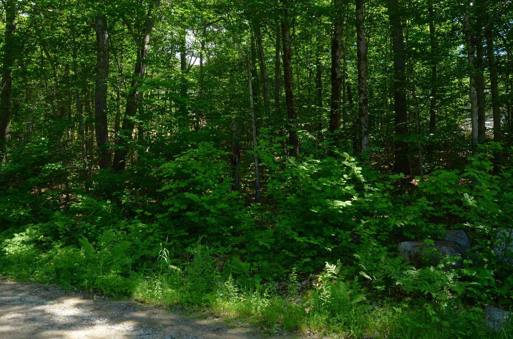 0.25 Acres of Residential Land for Sale in Alton, New Hampshire
