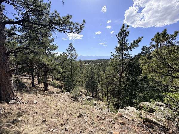 48.2 Acres of Recreational & Residential Land for Sale in Westcliffe, Colorado