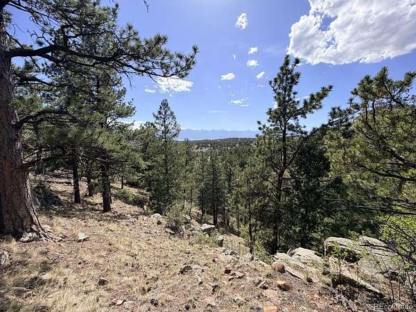 48.2 Acres of Recreational & Residential Land for Sale in Westcliffe, Colorado
