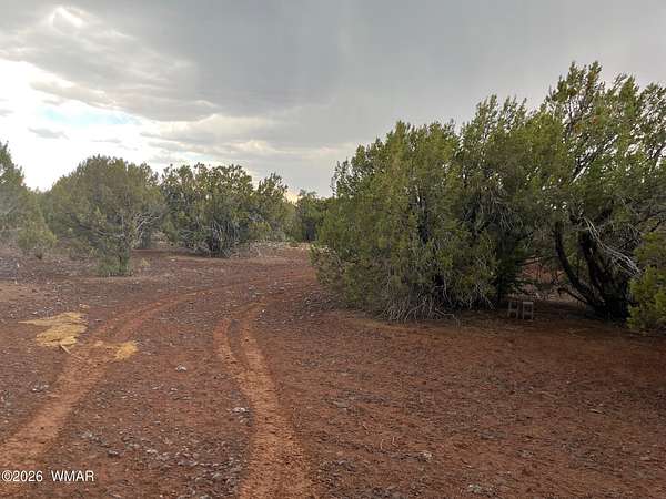 8.9 Acres of Residential Land for Sale in Vernon, Arizona