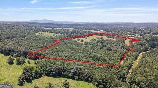 60.9 Acres of Land for Sale in Jasper, Georgia