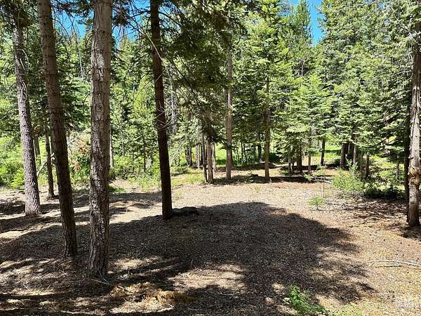 1.3 Acres of Land for Sale in Springville, California