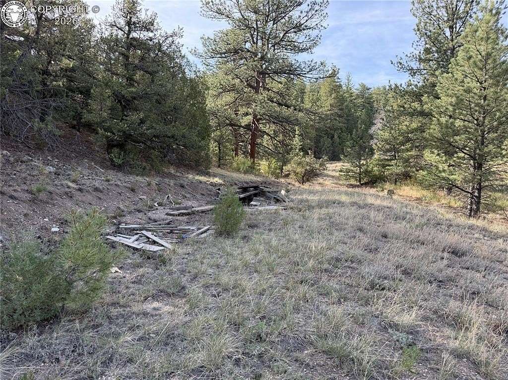 5 Acres of Residential Land for Sale in Cotopaxi, Colorado
