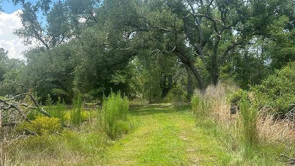 25.8 Acres of Recreational Land for Sale in Steinhatchee, Florida