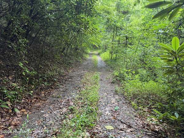 42 Acres of Land for Sale in Murphy, North Carolina