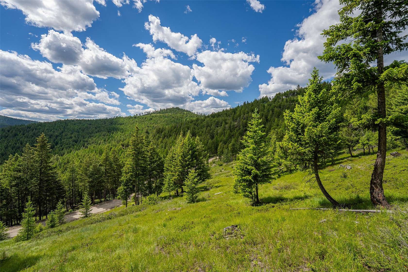7.8 Acres of Residential Land for Sale in Kalispell, Montana
