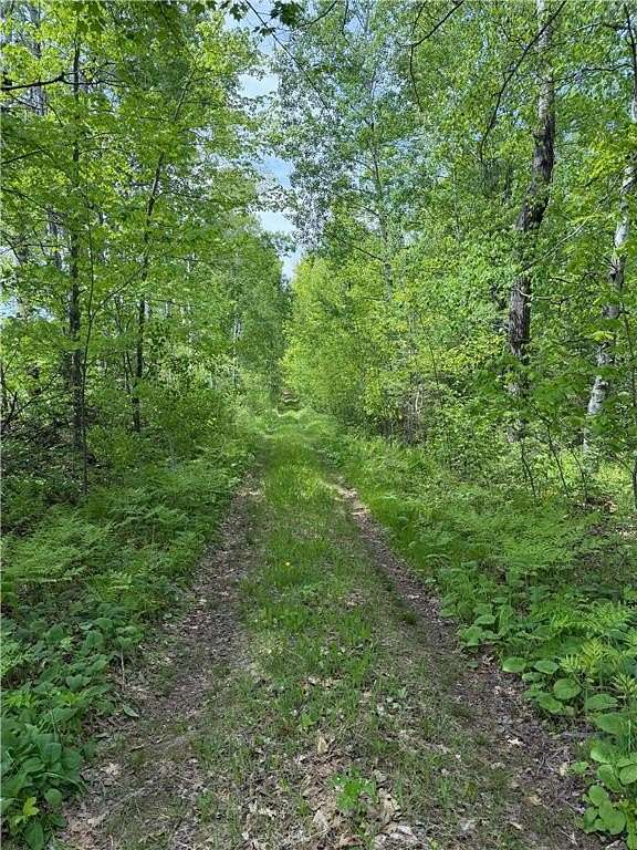 6.66 Acres of Land for Sale in Nickerson Township, Minnesota