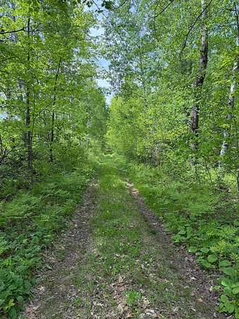 6.66 Acres of Land for Sale in Kerrick, Minnesota