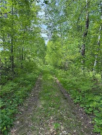 6.66 Acres of Land for Sale in Nickerson Township, Minnesota