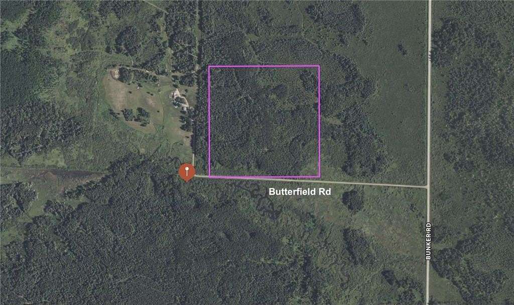 40 Acres of Recreational Land for Sale in Hibbing, Minnesota