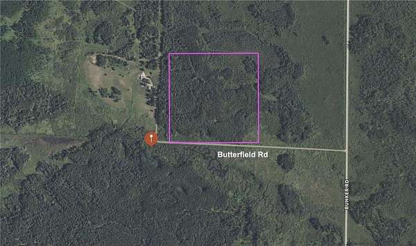 40 Acres of Recreational Land for Sale in Hibbing, Minnesota