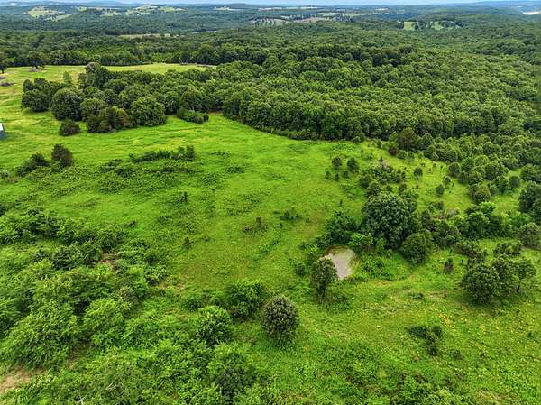 28 Acres of Land for Sale in Gainesville, Missouri